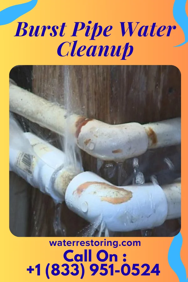 Burst Pipe Water Cleanup in Lake Wisconsin, WI