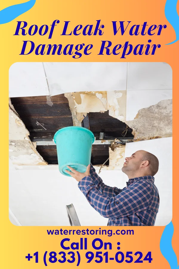 Roof Leak Water Damage Repair in Lake Wisconsin, WI