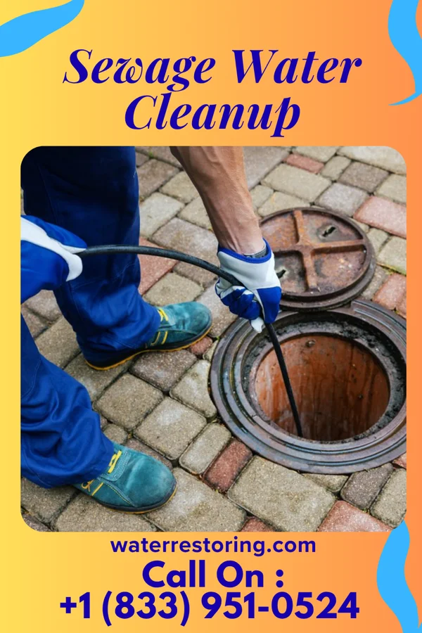 Sewage Water Cleanup in Lake Wisconsin, WI